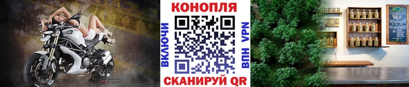 Где купить наркотики Великие Луки МАРИХУАНА  Метамфетамин  Меф 