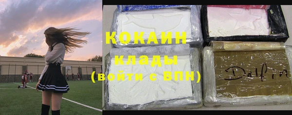 стаф Сафоново