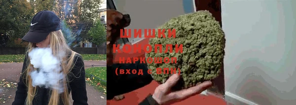 СК Великий Новгород
