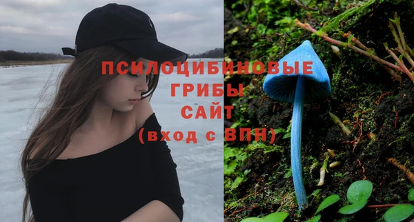 стаф Сафоново