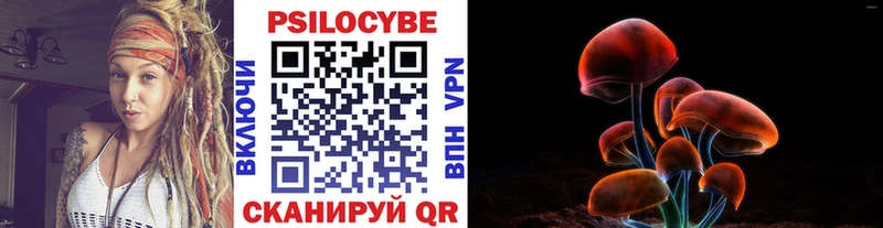 Псилоцибиновые грибы Psilocybe  купить  цена  Великие Луки 