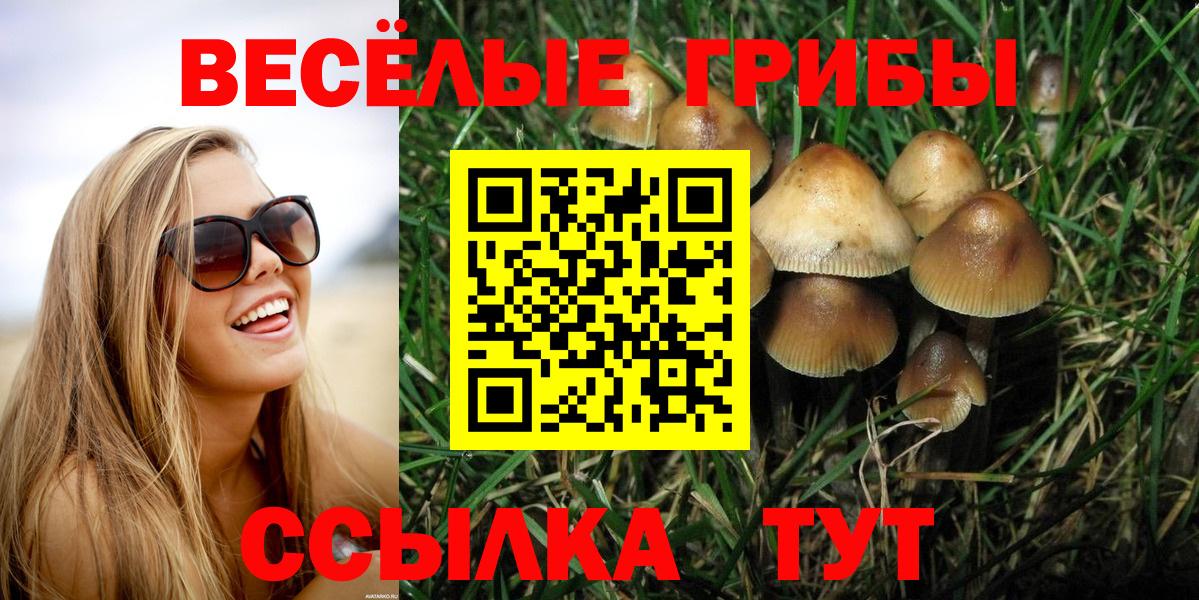 Галлюциногенные грибы MAGIC MUSHROOMS Великие Луки