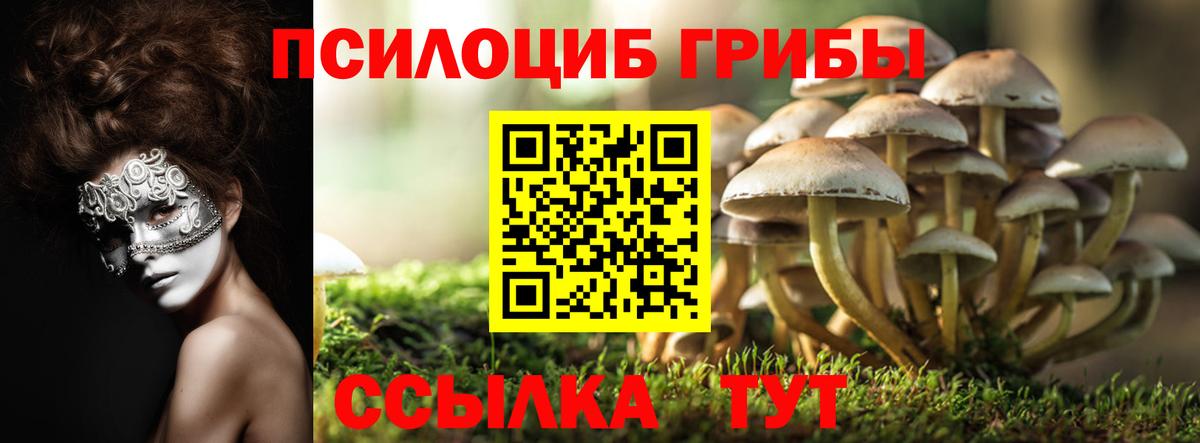 Галлюциногенные грибы Magic Shrooms  Великие Луки 