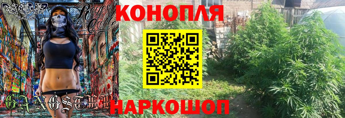 Шишки марихуана план Великие Луки